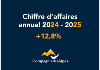 Chiffre d'affaires annuel 2024-2025